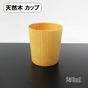 ؐ Rbv Jbv t[Jbv i` 250ml VR 蔲 X[vJbv ۂ EbhJbv  Vv y y 킢 Mtg v[g j j j  