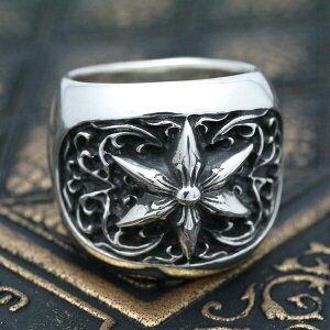 NVbNI[oX^[O w Vo[925 Y fB[X nCNIeB ch001