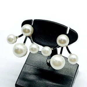 p[ sAX fB[X p[sAX Vo[ w Ǝ XeX XeXsAX Vv  ka-sear18