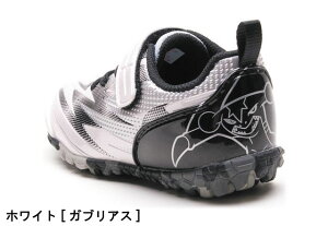 y(kCAꏜ)z |PbgX^[ ATqV[Y P109 ASAHI K` LbYXj[J[ ^C ʉ ʊw ʃt@Xi[  jɂ q |P Pokemon C u[ 