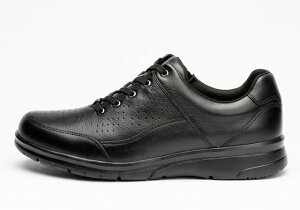 y(A)z hN^[AbV[ DR-8016 Dr.ASSY rWlXV[Y EH[LOV[Y {v VRv U[ TCht@Xi[ ₷ ₷ ɂ H 