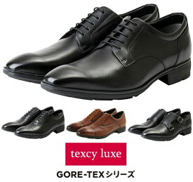 【送料無料】 テクシーリュクス texcy luxe ビジネスシューズ GORE-TEX レザーシューズ 革靴 メンズ 紳士 防水タイプ ブラック ブラウン 靴 3E TU-8001 TU-8002 TU-8004