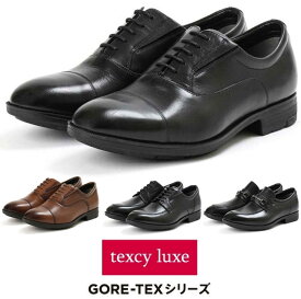 【送料無料】 テクシーリュクス texcy luxe ビジネスシューズ GORE-TEX レザーシューズ 革靴 メンズ 紳士 防水タイプ ブラック ブラウン 靴 4E TU-8005 TU-8006 TU-8007