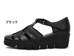 yz l 881521 Monet OJJWAT_ XgbvT_ OJT_ EGbWT_ T_ fB[XT_ C 3E { EGbW\[ ʃt@X