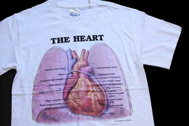 デッドストック★90s Hanes Anatomical Chart Co. THE HEART 人体 臓器 心臓 コットンTシャツ 白 S【中古】