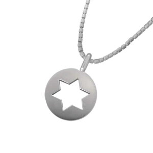 WG[ y_g _rf̐ fB[X Y Pt900 TCY ی^