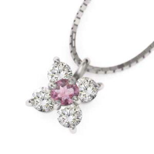 WG[ y_g fB[X Y 11 u[gp[Y VR_Ch Pt900 (AWXg ubN_Ch sNg} u[gp[Y)