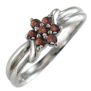 w fUC t[ fB[X 1 K[lbg Pt900 (K[lbg AWXg ANA} ubN_Ch Gh r[ yhbg Tt@CA sNg} u[g