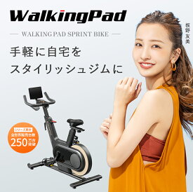 【新春SALE ★5,000円OFFクーポン1/20迄】 WalkingPad エアロバイク フィットネスバイク スピンバイク エアバイク アプリ連動 エクササイズバイク エアロ バイク 家庭用 静音 サイクリングマシン 運動機器 運動不足 グッズ 有酸素運動 室内 プレゼント マンション 板野友美