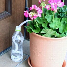 楽天市場 水やり 自動 植木鉢の通販