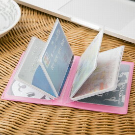 カードシールドケース10 磁気ガード 磁気防止 カードケース カード入れ スキミング防止 収納 メール便 送料無料