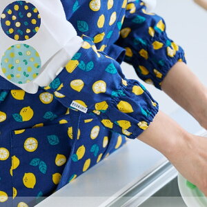 A[Jo[ Ede rJo[ Jo[ Jo[  Lb` Ǝ K[fjO   킢 fB[X [