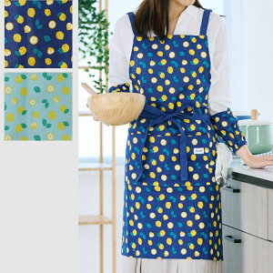 Gv Ede NX^Cv O | ۈm  킢 fB[X Lb` Ǝ 100 [