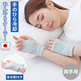 手のひら 冷やす グッズ ハンドクーラー 日本製 手を冷やす ひんやりクーラー 両手用 保冷剤付き 冷却 就寝時 熱中症対策 暑さ対策 ひんやり メール便