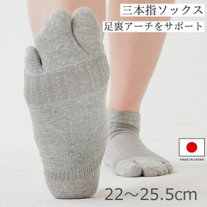 O{w\bNX ǂǂEH[LOT|[^[ 1gi2j O  3{w\bNX O{wC 3{wC fB[X { [