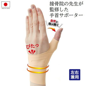 T|[^[ ڍ@̐搶ďCT|[^[ 1 Ep  ewt Œ F≊T|[^[  ɂ Ǝ p p jp { [