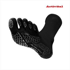  ANeBoC^ ACTIVITAL PRO 5 ܖ{w\bNX ubN