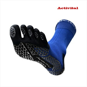  ANeBoC^ ACTIVITAL PRO 5 ܖ{w\bNX u[