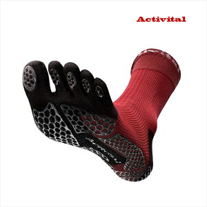  ANeBoC^ ACTIVITAL PRO 5 ܖ{w\bNX bh