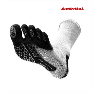  ANeBoC^ ACTIVITAL PRO 5 ܖ{w\bNX zCg