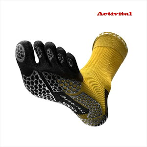  ANeBoC^ ACTIVITAL PRO 5 ܖ{w\bNX CG[