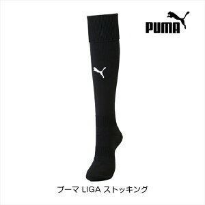 v[} LIGA XgbLO v[}ubN