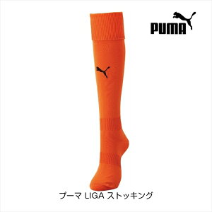 v[} LIGA XgbLO S[f|s[