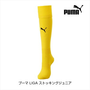 v[} LIGA XgbLO WjA TCo[CG[