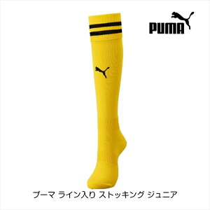 �v�[�} ���C������ �X�g�b�L���O �W���j�A �T�C�o�[�C�G���[