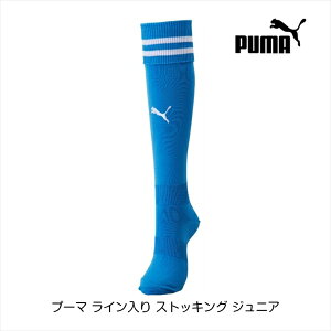 v[} C XgbLO WjA TbNX