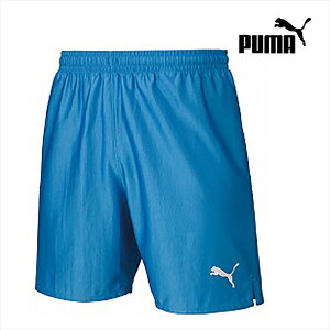  v[} LIGA Q[pc RA AY[u[