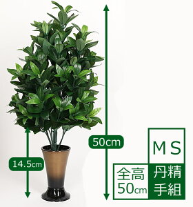yY܂g݁zԂ݁iVL~jMS/S50cm@1{ynwz