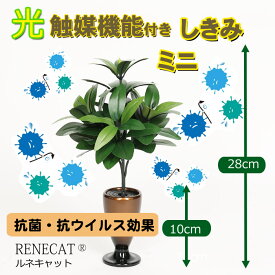 楽天市場 ルネキャットの通販