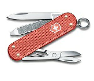 VICTORINOX(rNgmbNX)ALOX~ebhGfBV2025 Xg[bh NVbNAL LE2025 0.6221.L25y{KizyyMt_z
