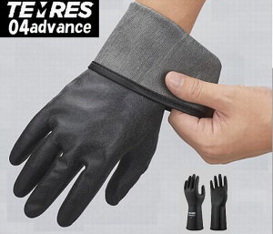 eX TEMRES04 advance V[O[u AEghAO[u h  S eX04 h ubN lR|Xɂđ