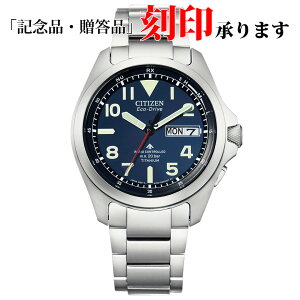 V`Y CITIZEN PROMASTER v}X^[ AT6080-53L GRhCu Y dg ۏ5Nt