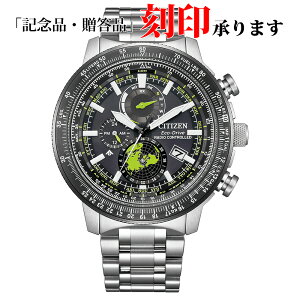 V`Y CITIZEN PROMASTER v}X^[ BY3006-53E SKY XJC GRhCu dg Y ۏ5Nt