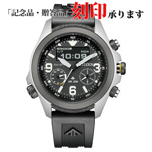 V`Y CITIZEN PROMASTER v}X^[ JV1007-07E LAND h GRhCu NI[c Y ۏ5Nt