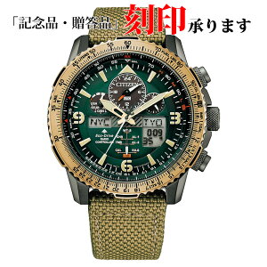 V`Y CITIZEN PROMASTER v}X^[ JY8074-11X SKY XJC GRhCu dg Y ۏ5Nt