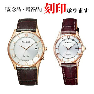 CITIZEN yAEHb` V`Y AS1062-08A^ES0002-06A V`YRNV GREhCudgv ^ yAEHb`@yۏ10Ntz