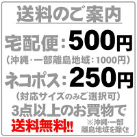 コドモ警察初回限定版【ブルーレイ/Blu-ray】【RCP】