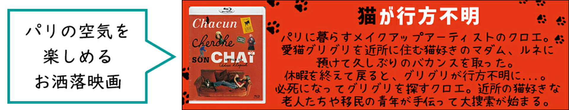 猫が行方不明