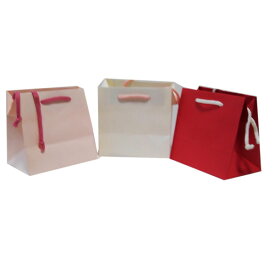 和紙タイプのプチ紙袋10枚（赤・ピンク・白の3色あり）16x15.5x10cm