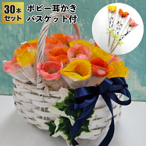 yzy|s[30{Zbg@oXPbgtzԑ | ii ei Mtg v`Mtg LOi Cxg v[g  񎟉 X a@{ IV 킢  q