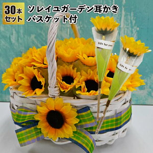 yzy\CK[f30{Zbg@oXPbgtzЂ܂ {[y ԑ ii ei Mtg v`Mtg LOi Cxg v[g  񎟉 X a@{ 킢