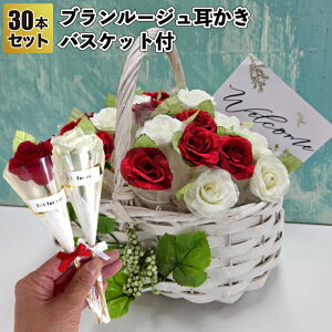 yzyu[W30{Zbg@oXPbgtzԑ | ii ei Mtg v`Mtg LOi Cxg v[g  񎟉 X a@{ IV 킢 