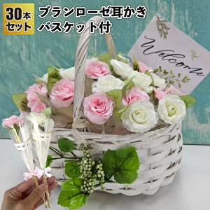 yzyu[[30{Zbg@oXPbgtzԑ | ii ei Mtg v`Mtg LOi Cxg v[g  񎟉 X a@{ IV 킢 