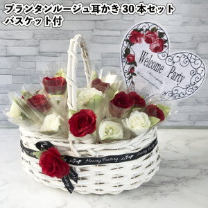yzyv^[W30{Zbg@oXPbgtzԑ | ii ei Mtg v`Mtg LOi Cxg v[g  񎟉 X a@{ IV 킢