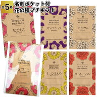送料無料【名刺ポケット付　花の種プチギフト15個セット】母の日 ホワイトデー バレンタインデー 景品 粗…