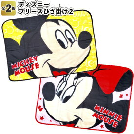 楽天市場 ディズニー ストア ブランケットの通販
